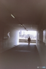 散歩道