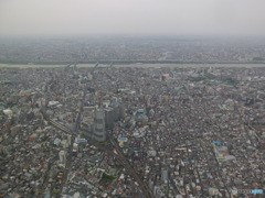 上空から