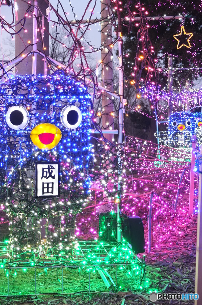 うなりくんイルミネーション