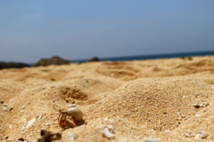 夏！先取り！