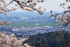 太平山