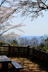 太平山
