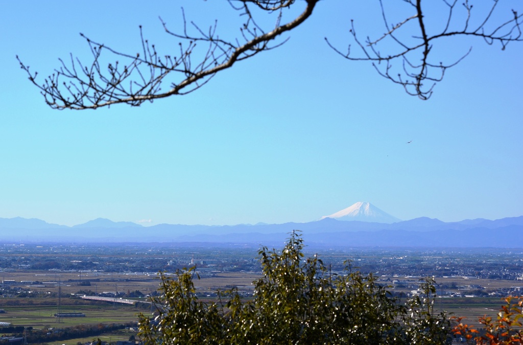 栃木県からの富士山