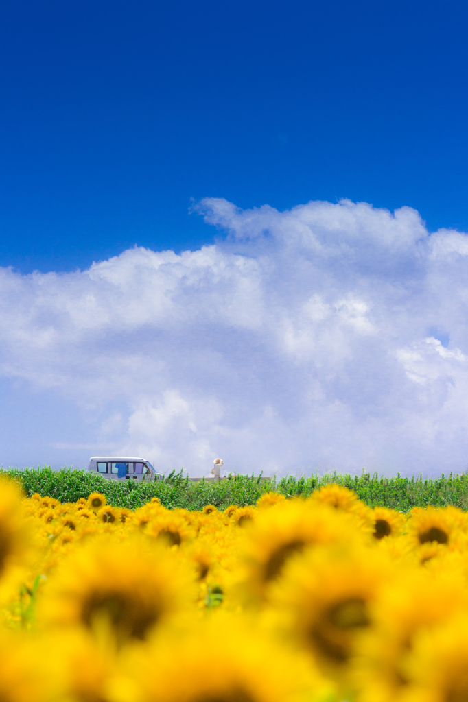 夏
