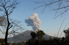 桜島