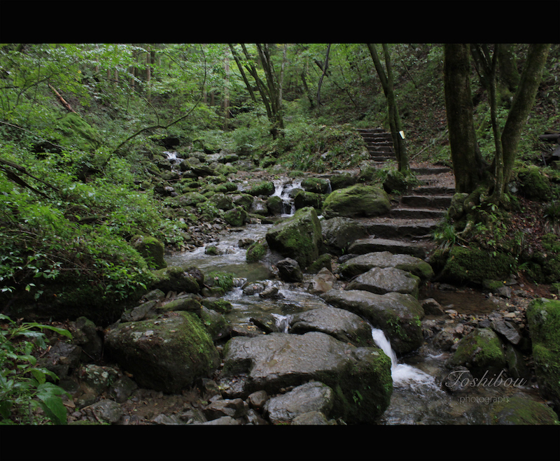 御岳山の道中にて