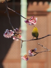 トリですとも