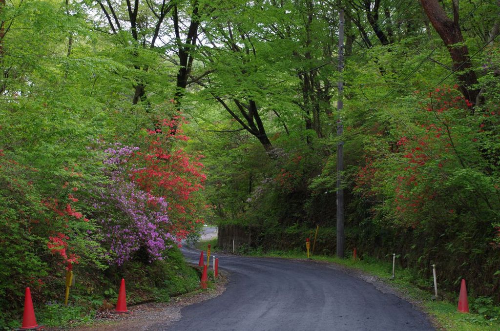 大谷石地下採掘場への道