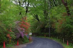 大谷石地下採掘場への道