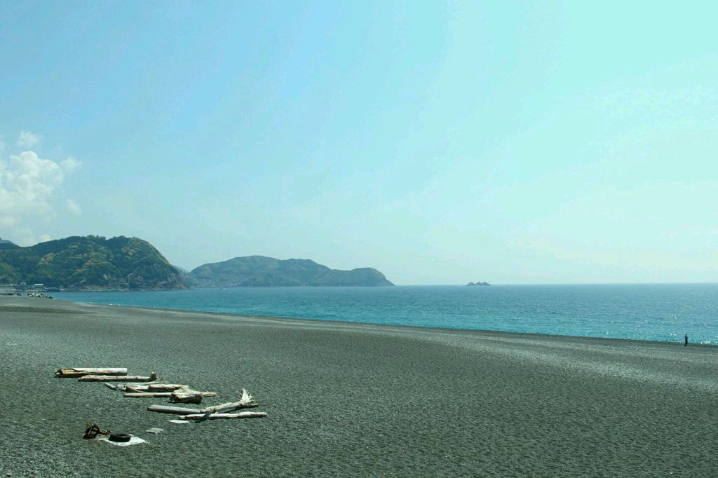 流木