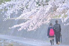 お幸せに。