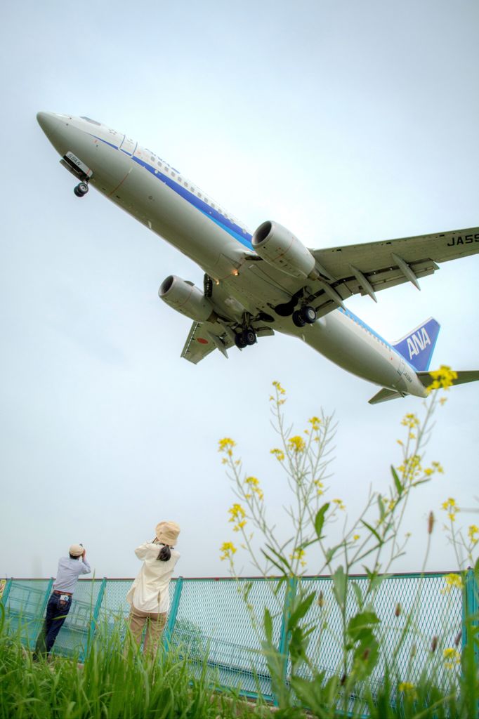 飛行機