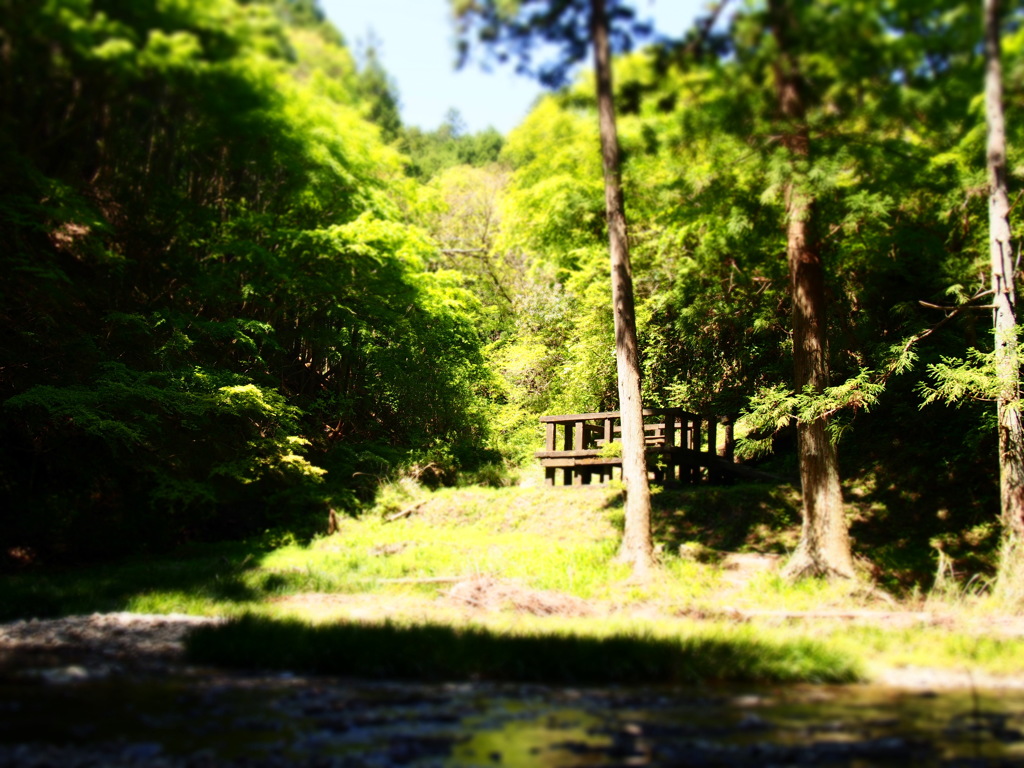 dreaminess