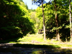 dreaminess