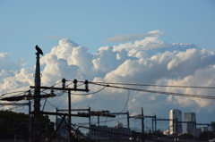 雨上がりの空