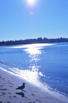 English bay