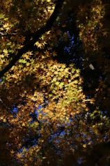 IMG_5457