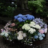 DSCF3656