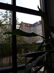 PB030499