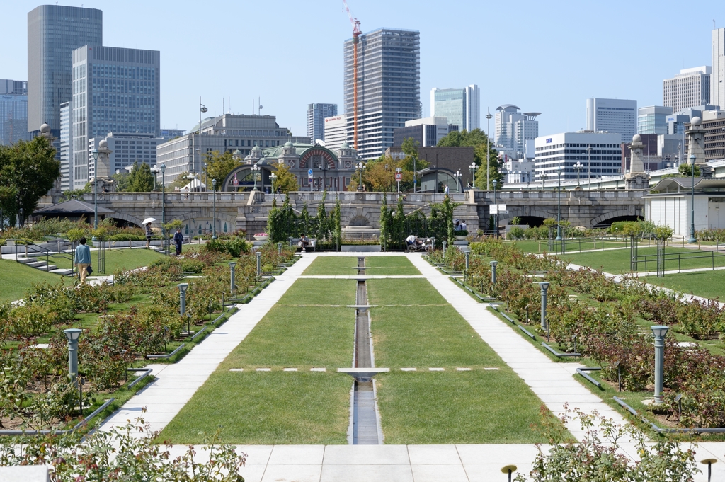 都会のオアシス