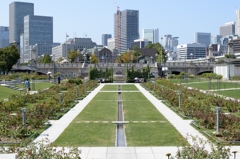 都会のオアシス