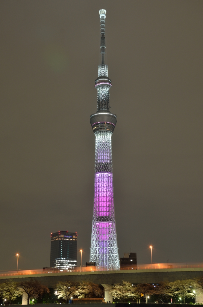 スカイツリー