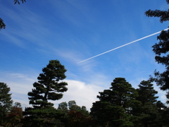 飛行機雲