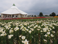 ゆりの里公園