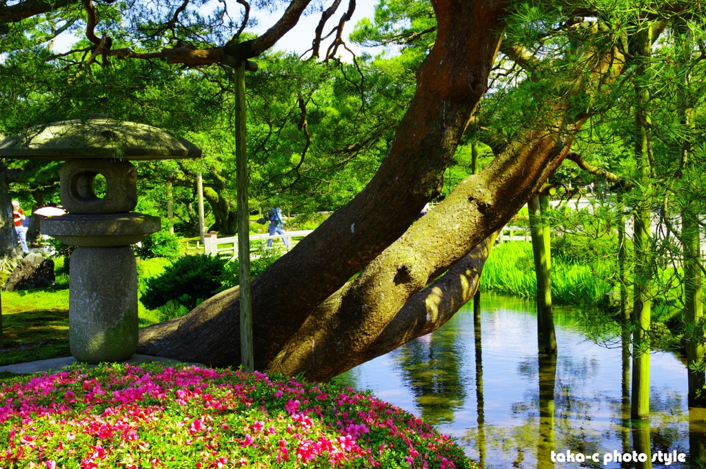 ポップな兼六園