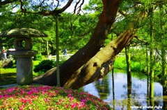 ポップな兼六園