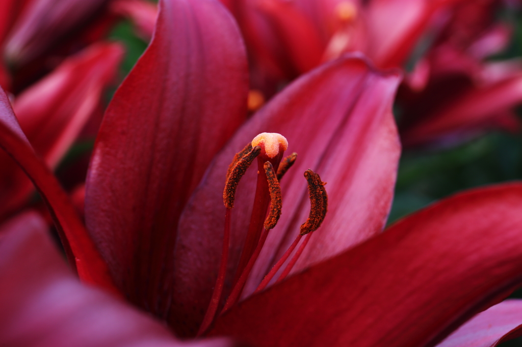 クローズアップ