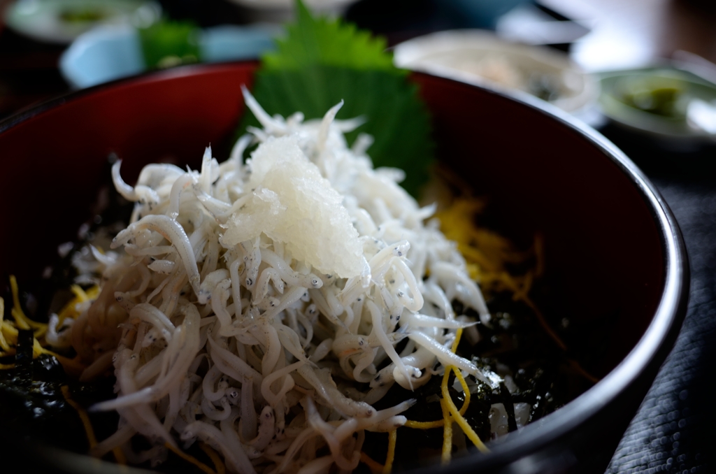 湘南のしらす丼