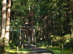 勝山市の平泉寺白山神社