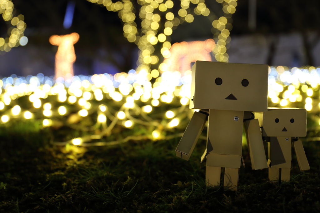 だんぼ撮影にはまりました