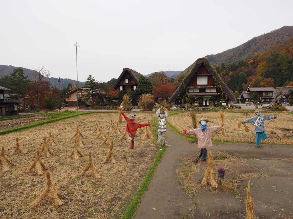 念願の白川郷