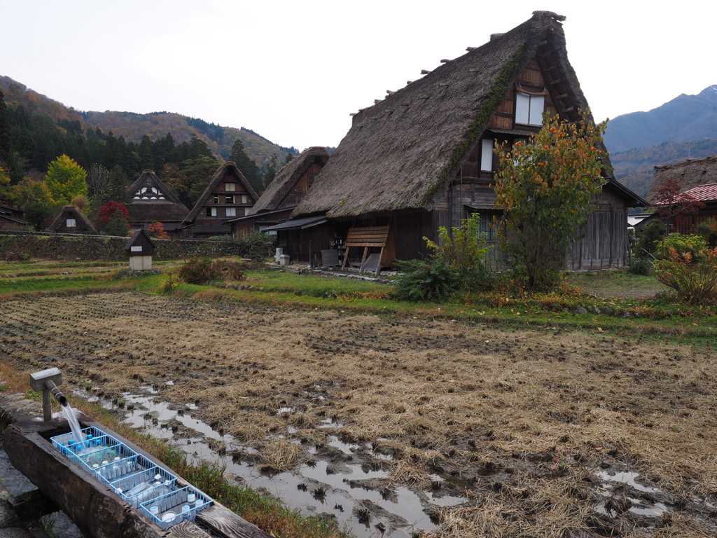 白川郷