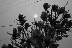 untitle