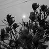 untitle