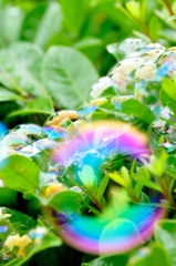 Bubble
