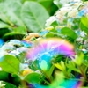 Bubble