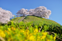 天空に咲く