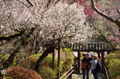 Trip of Japan