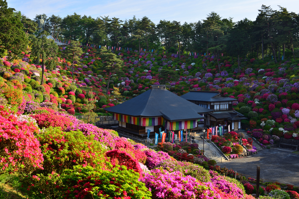 彩寺季