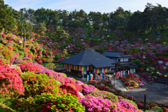 彩寺季