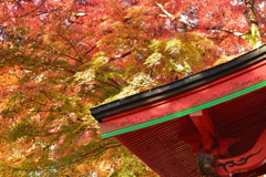 秋空