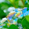 シャボン玉の世界