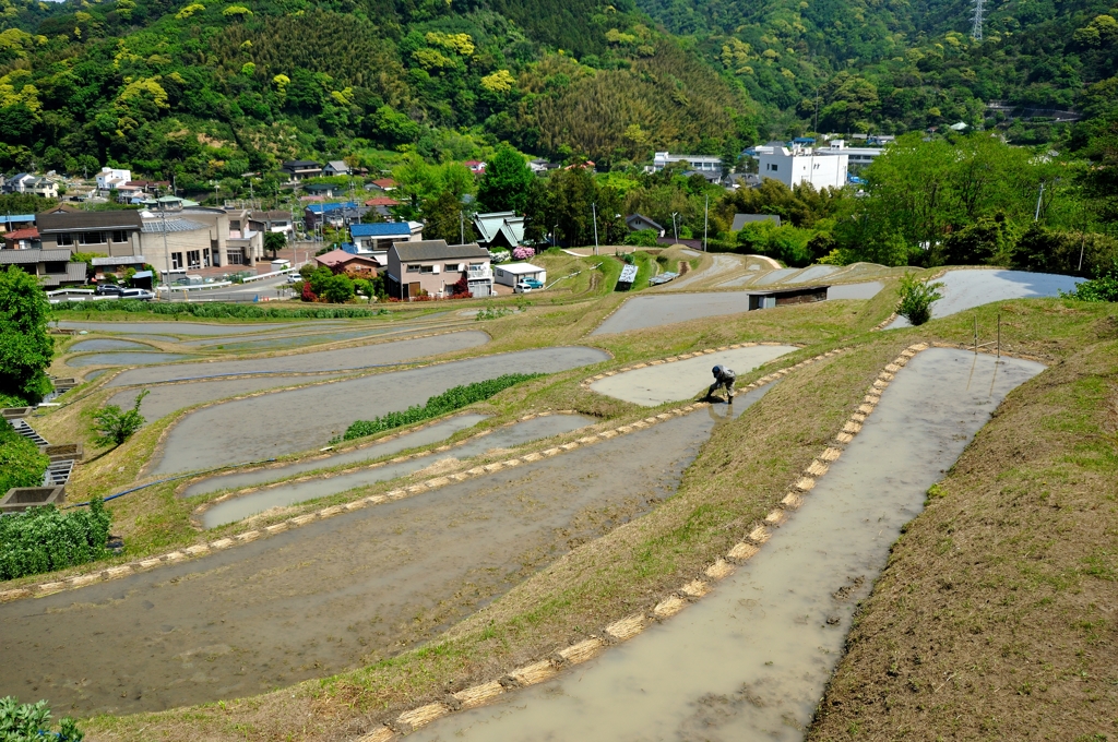 豊作を願う