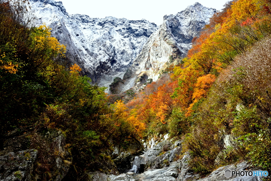 冬が降りてくる