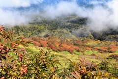 雨上がり山紅葉
