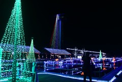 光りの世界へようこそ